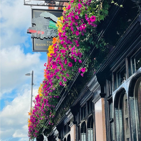 Meet your Posher, Carly - Picture 10 of 15